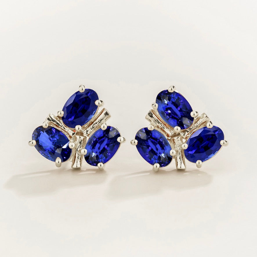 Ligna Oval Blue Sapphire Cluster Stud Earrings in White Gold