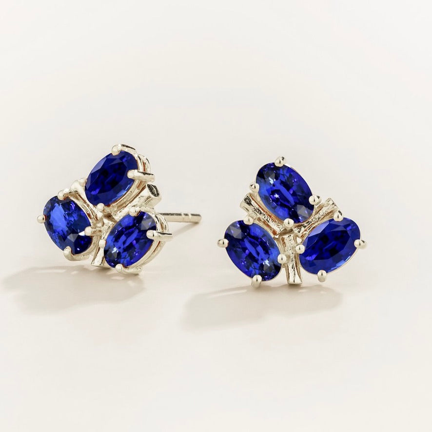 Ligna Oval Blue Sapphire Cluster Stud Earrings in White Gold