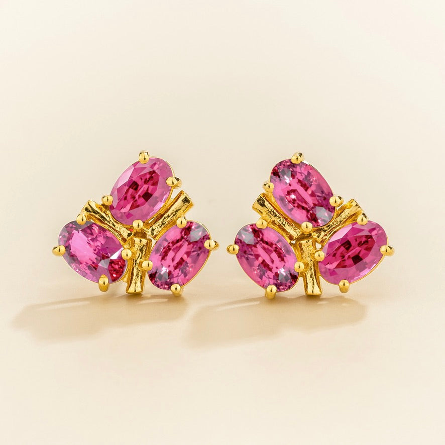 Ligna Oval Pink Sapphire Cluster Stud Earrings in Gold