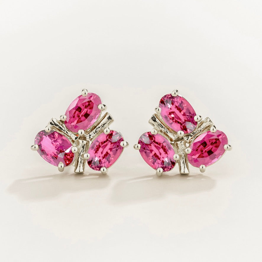 Ligna Oval Pink Sapphire Cluster Stud Earrings in White Gold