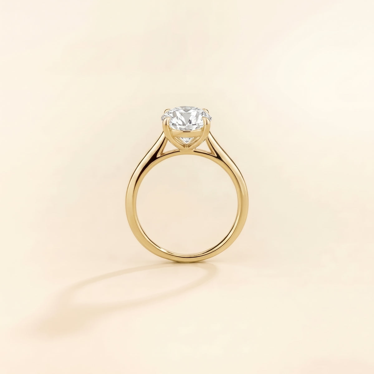 Nina Round Shape Diamond Cathedral Solitaire Ring side profile