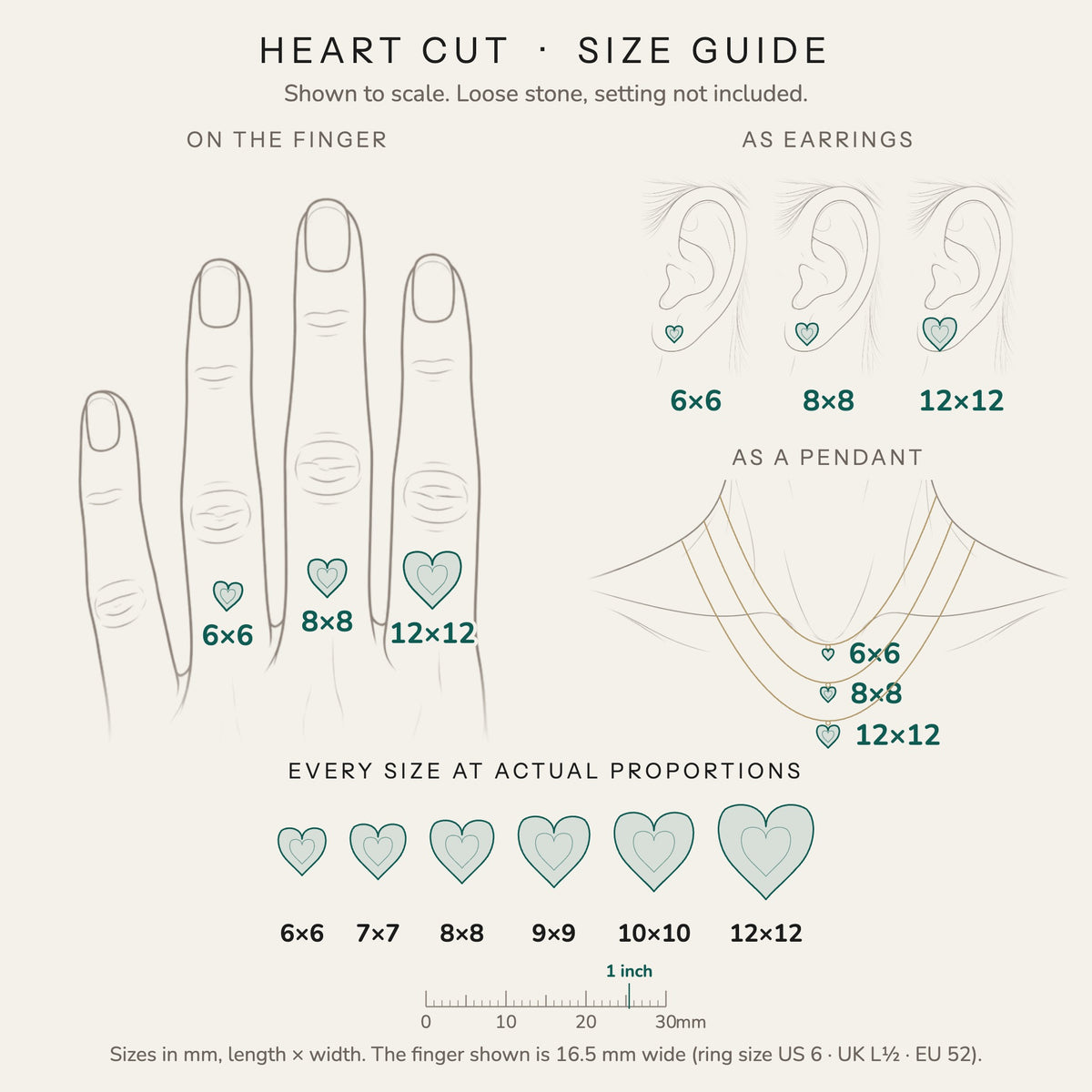 Heart cut size guide: every size shown to scale on a finger, ear and neck, with a mm ruler