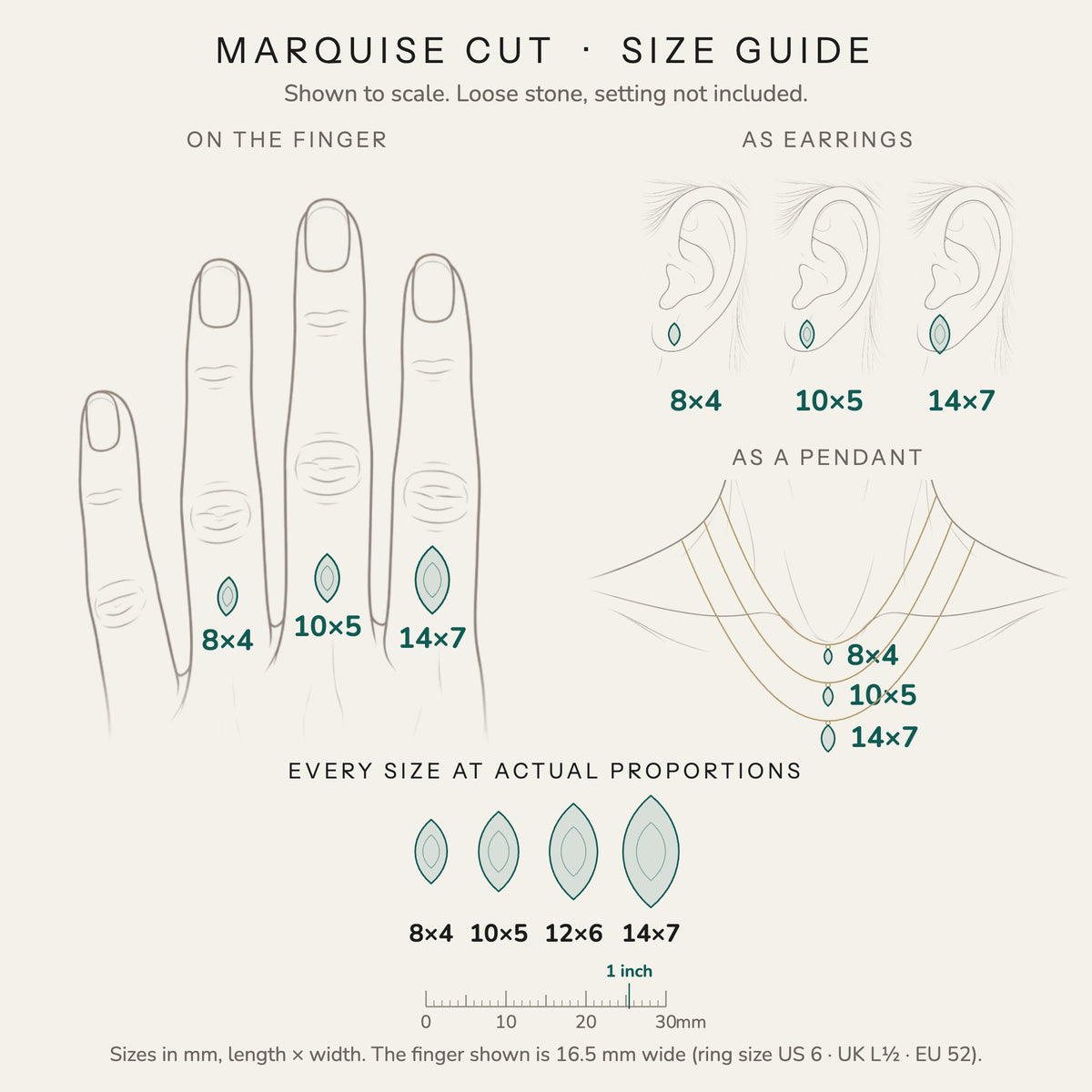 Marquise cut size guide: every size shown to scale on a finger, ear and neck, with a mm ruler